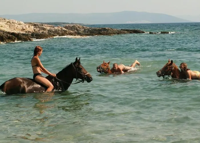 Ruby - By The Sea & Beaches, Heated Pool, Istria Lovrečica